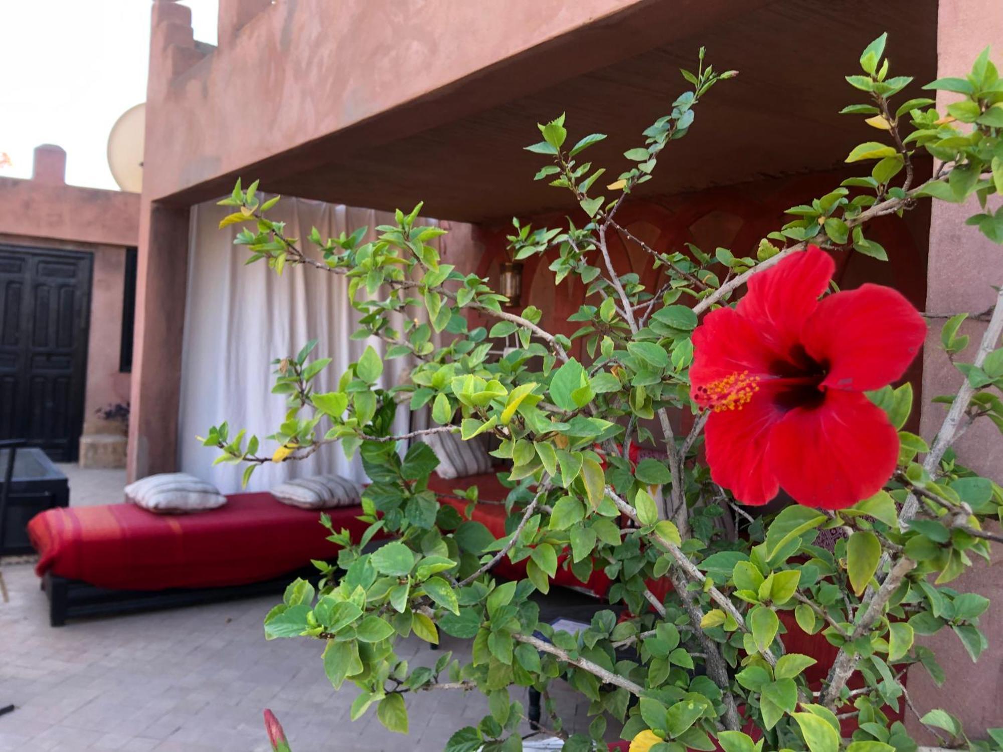 Dar Fangui Hotel Marrákes Kültér fotó